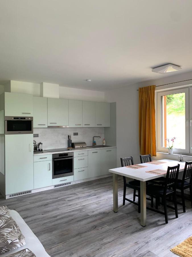 Apartman U Lomu Dolni Morava Exterior photo